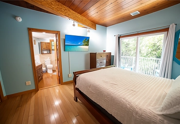 Downstairs Bedroom (#2/2)